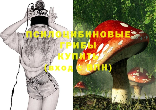 герыч Алзамай